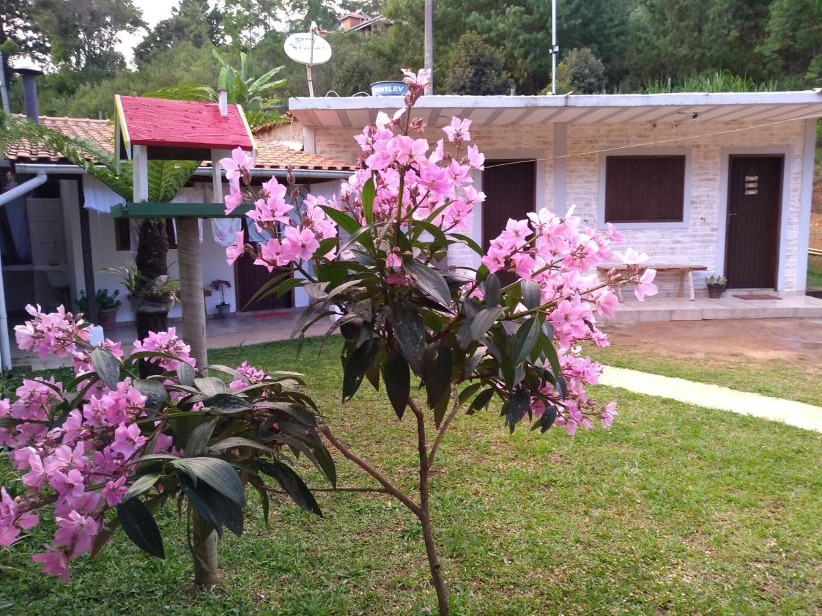 Chale Orquideas